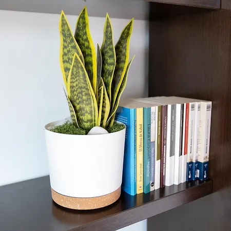 Atico Nuevo Con Piscina Cerca De Santander Lejlighed